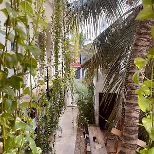 Gasthof Anana Coliving, Playa del Carmen
